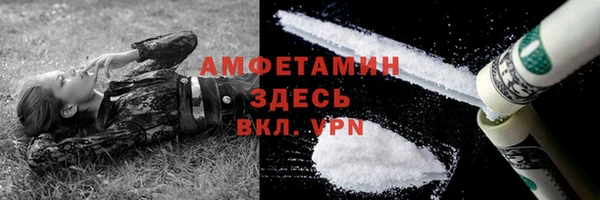 прущие грибы Усинск