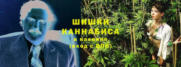 прущие грибы Усинск