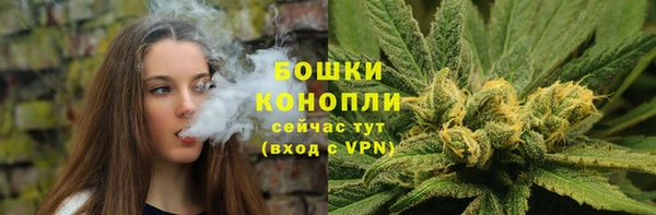 прущие грибы Усинск