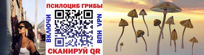 цена   ОМГ ОМГ зеркало  Псилоцибиновые грибы Psilocybe  Наро-Фоминск 