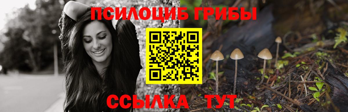 Галлюциногенные грибы Psilocybine cubensis  купить наркотик  Наро-Фоминск 